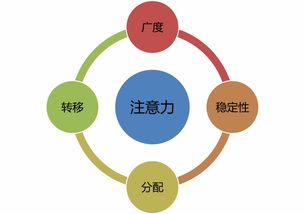 超级注意力强化班 数字文化创意内容应用服务专属群训练第五期开启